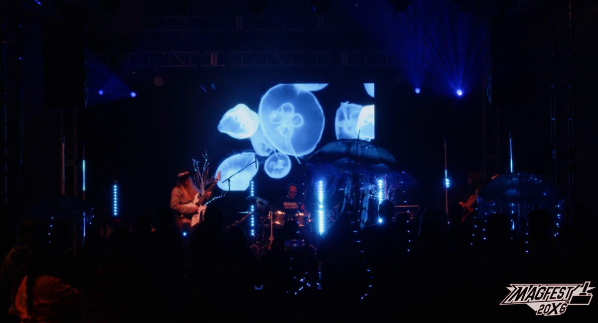 The Adventure Guild performing Moonlight Jellies